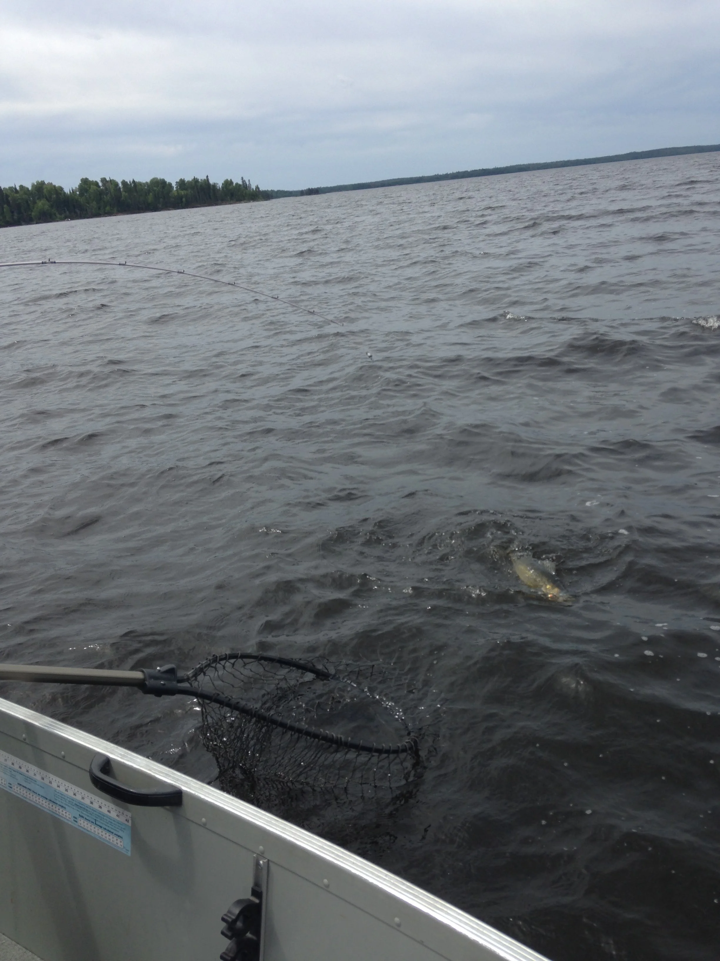 Catching-a-Fish.jpg