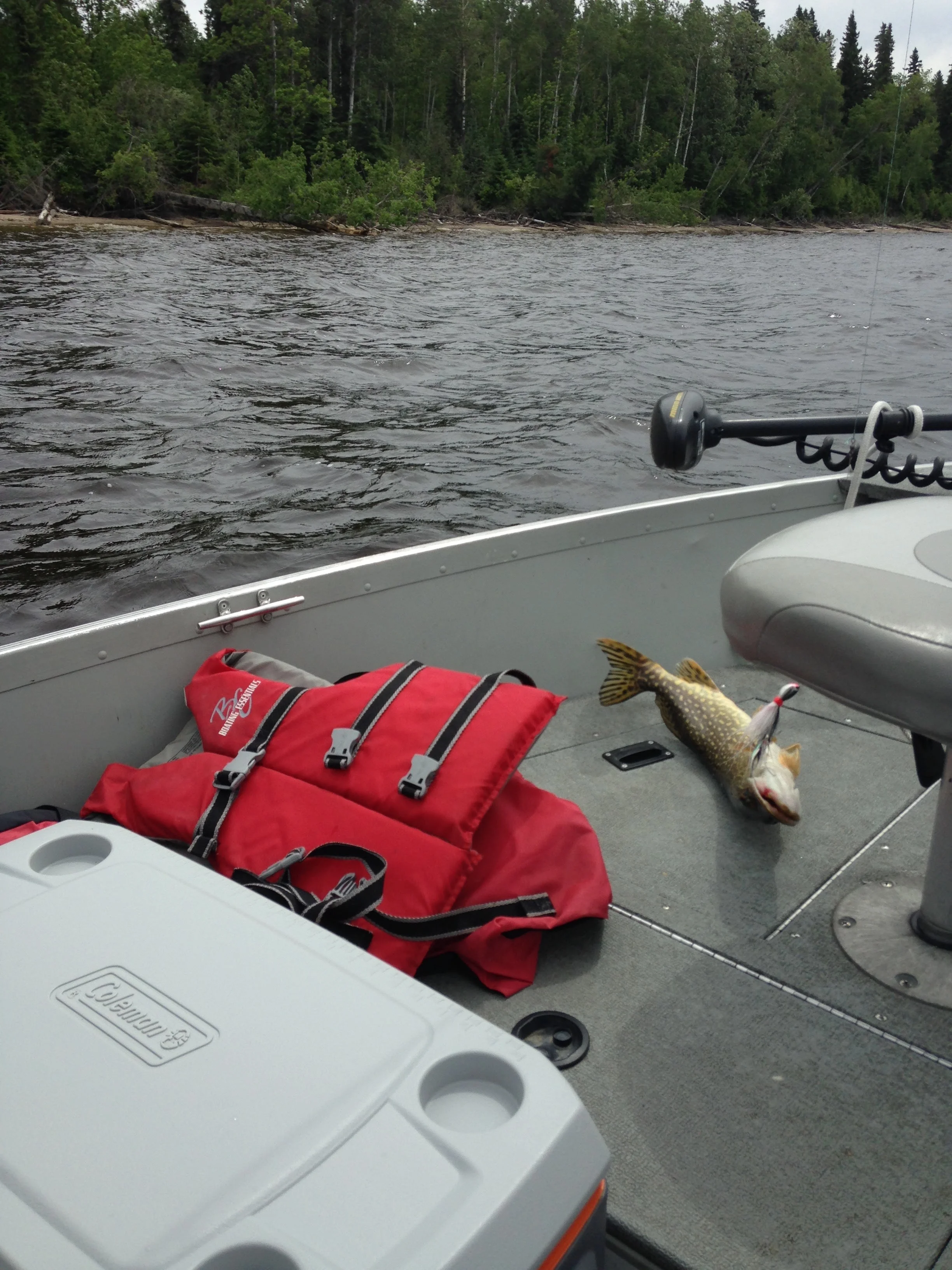 Catching-Fish.jpg