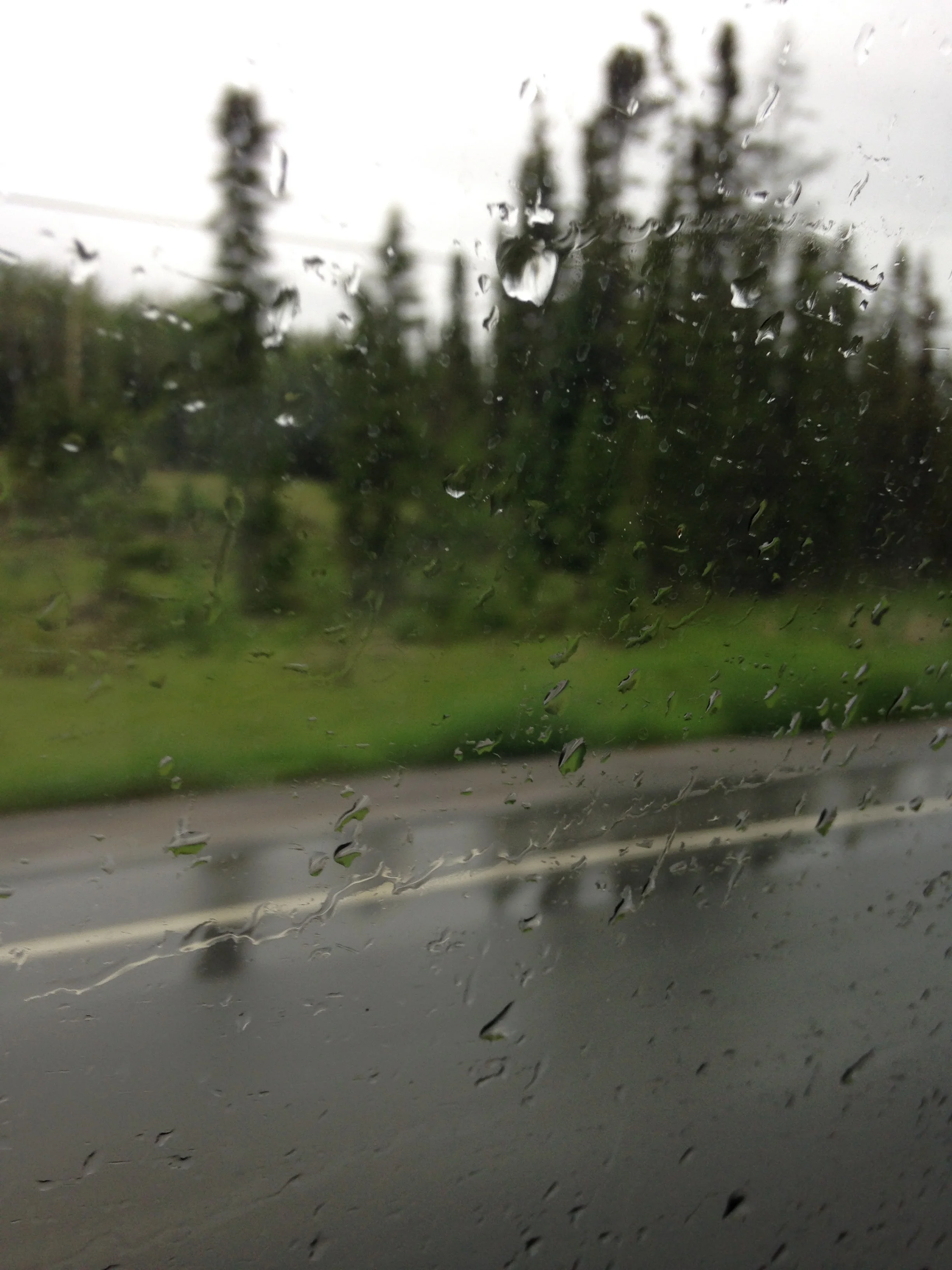 Canada-Trees-Rain.jpg