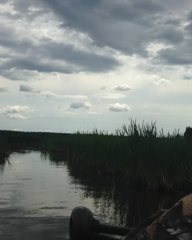Canada-Water.jpg