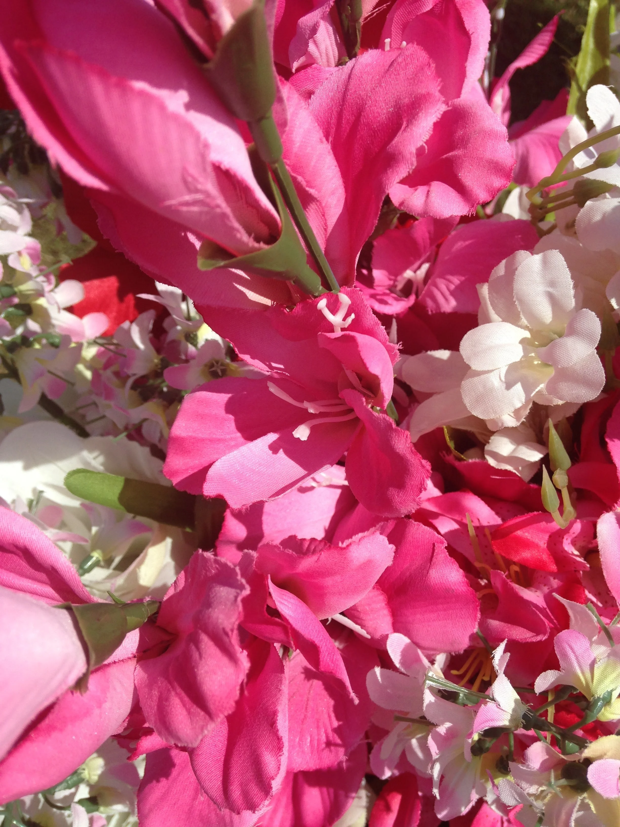 Pink-Flowers.jpg