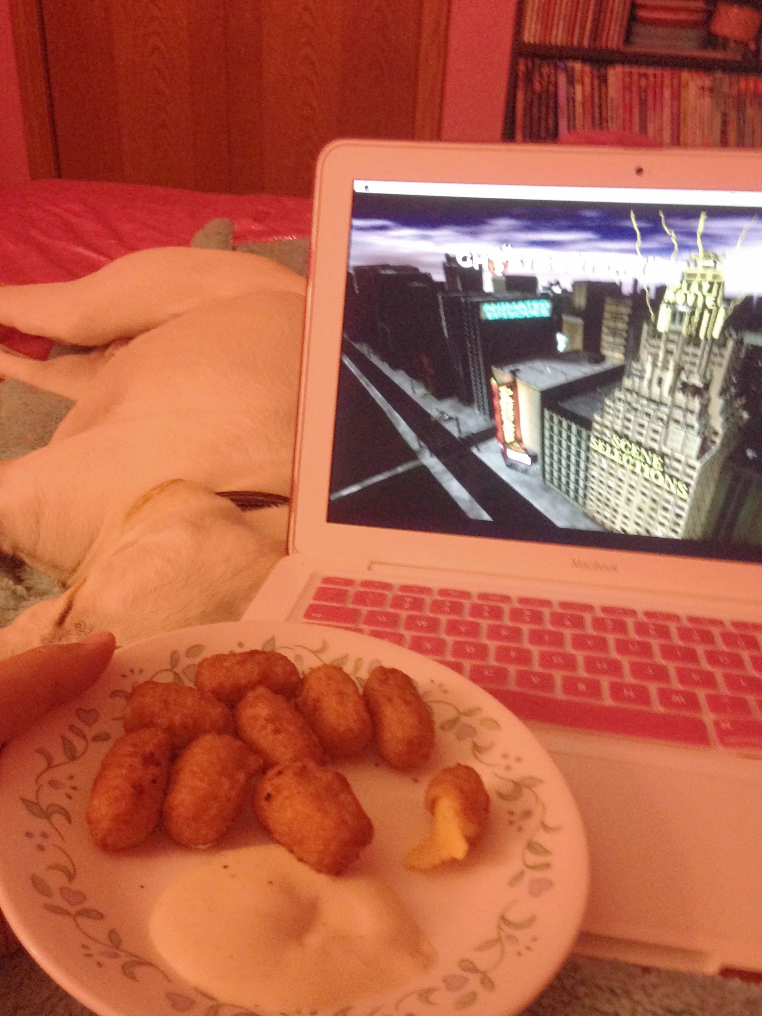 cheeseballs-laptop-movie-dog.jpg