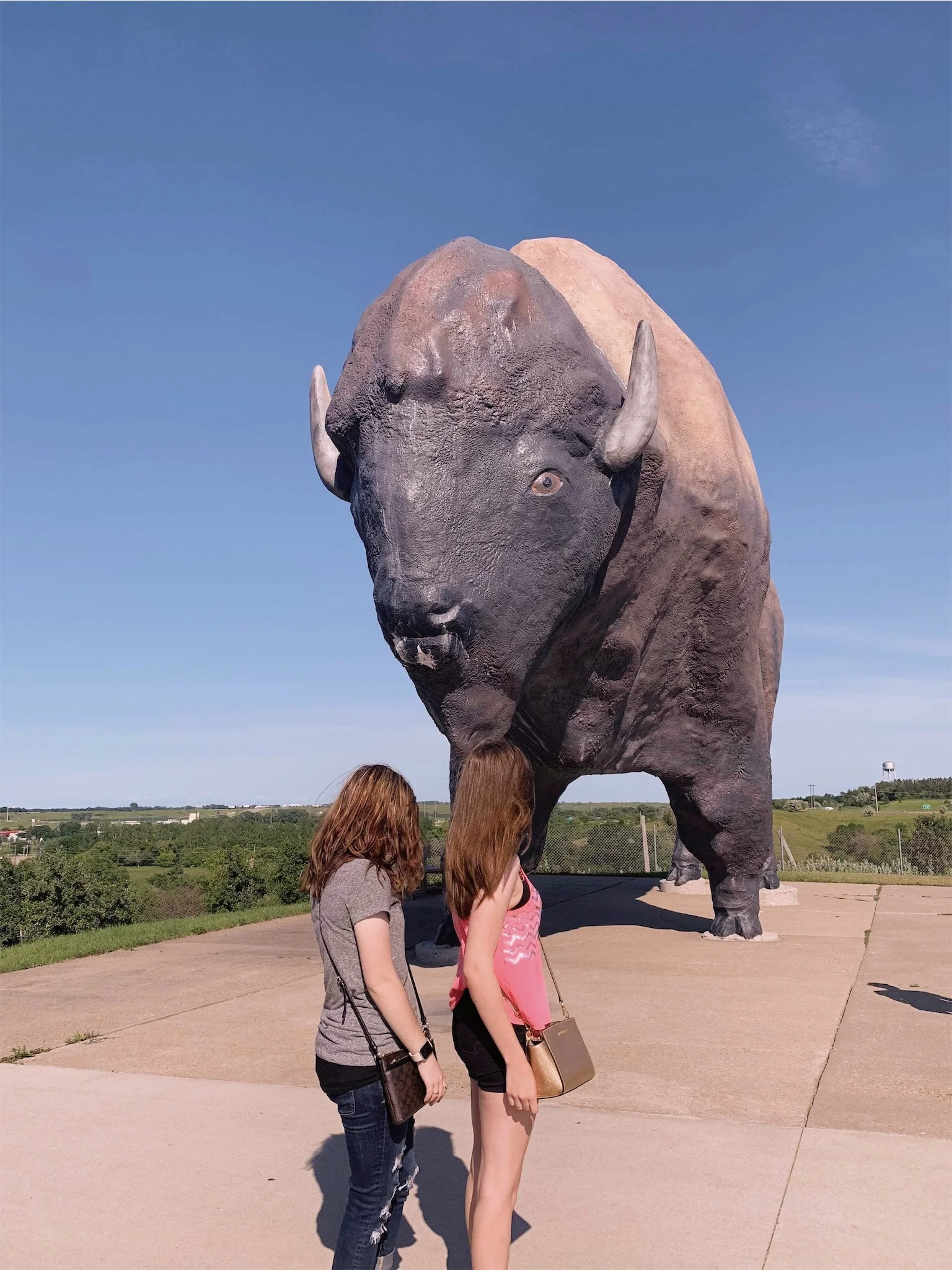 ashlee-kirsten-worlds-largest-buffalo.jpg