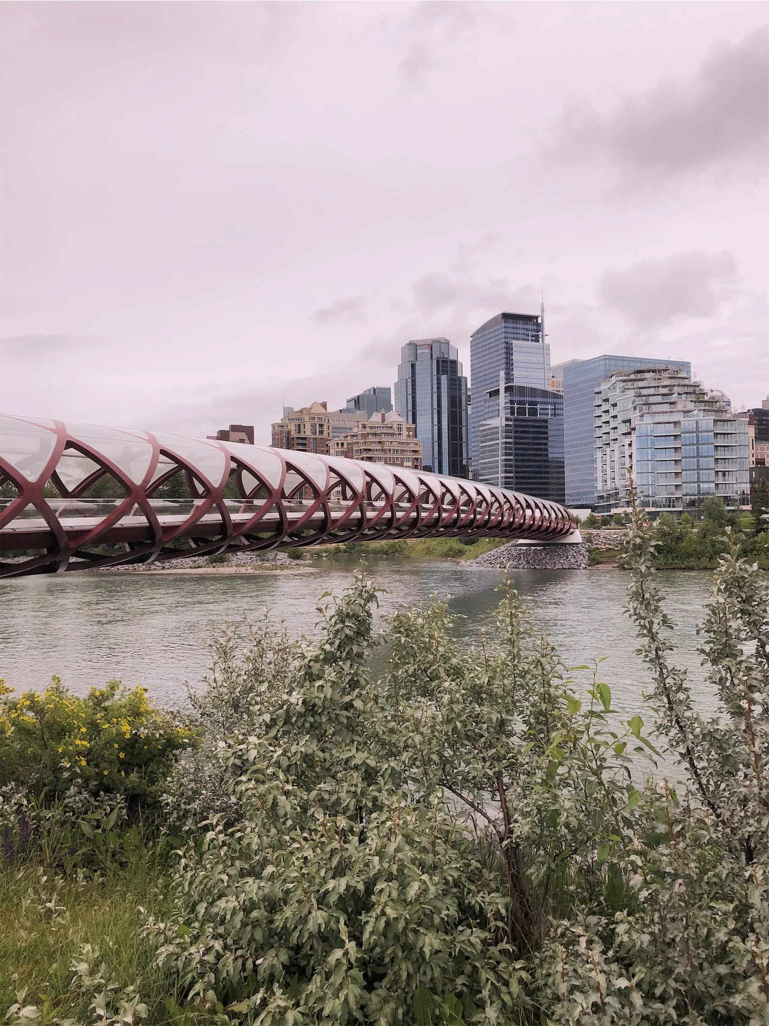 peace-bridge-calgary.jpg