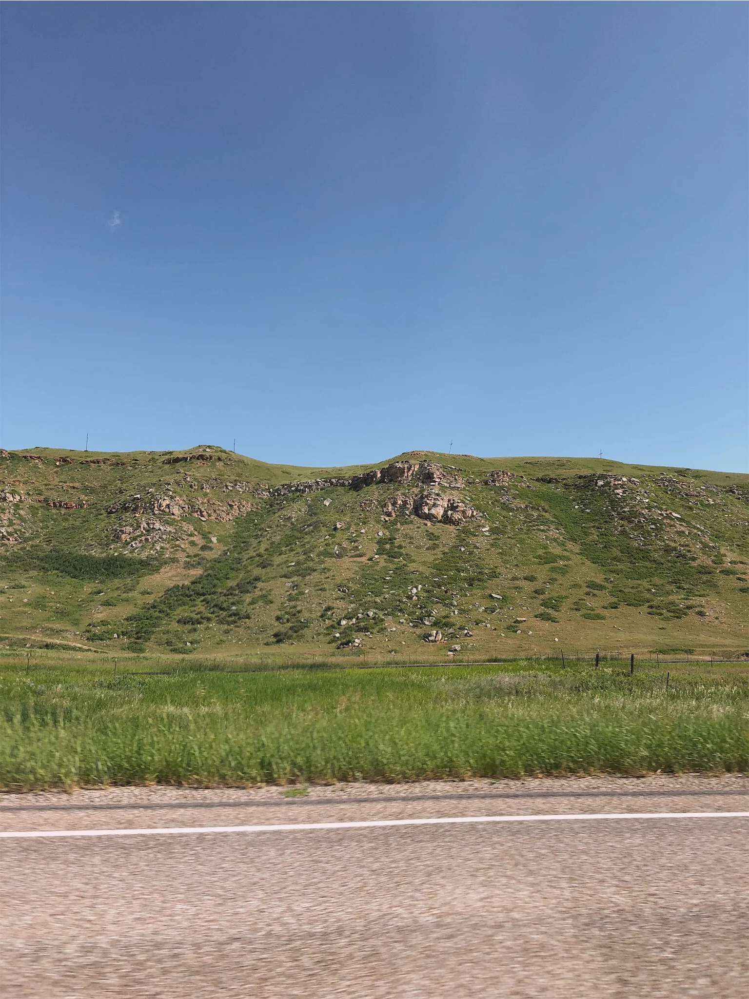 Cows on top of hill Montana.jpg