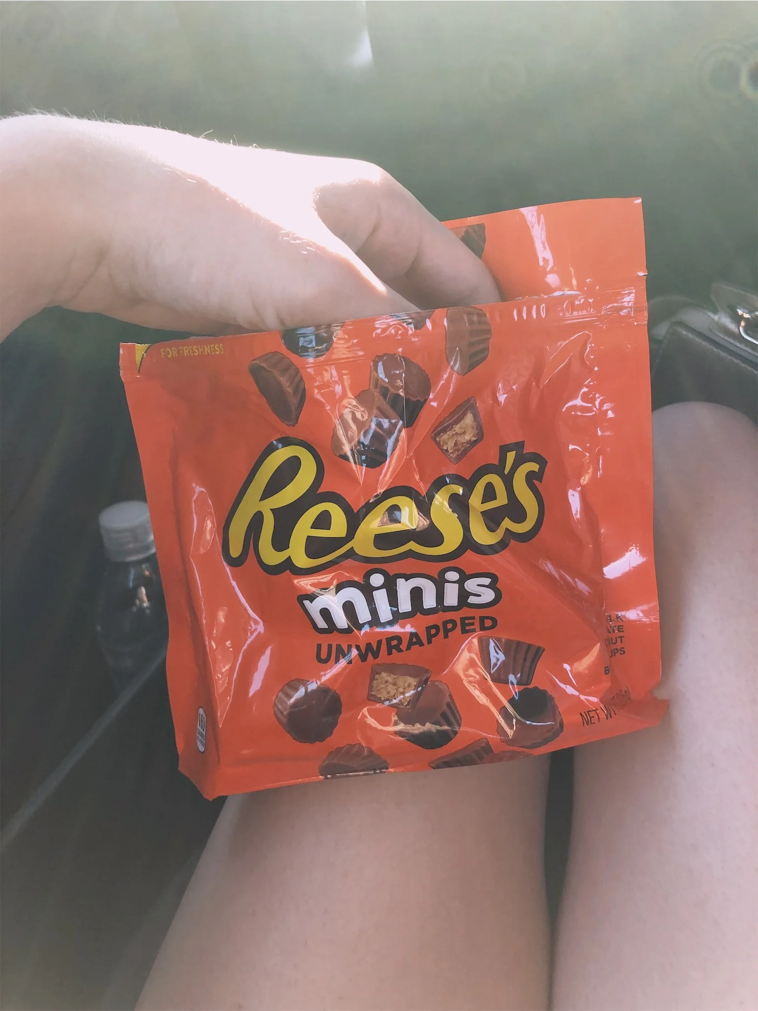 Ashlee reese's minis car ride.jpg