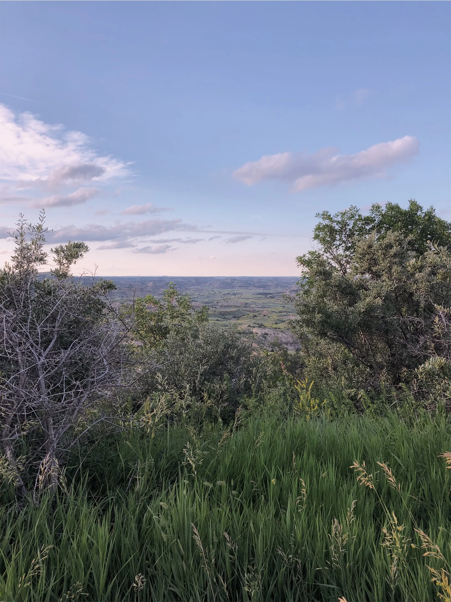 North Dakota Badlands view.jpg