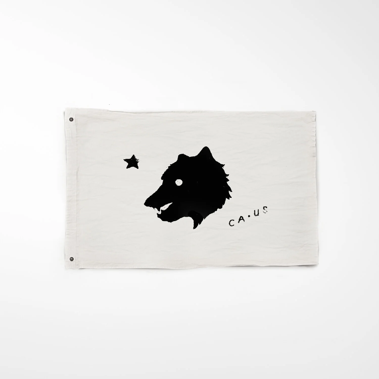 ws_small CA bear.jpg