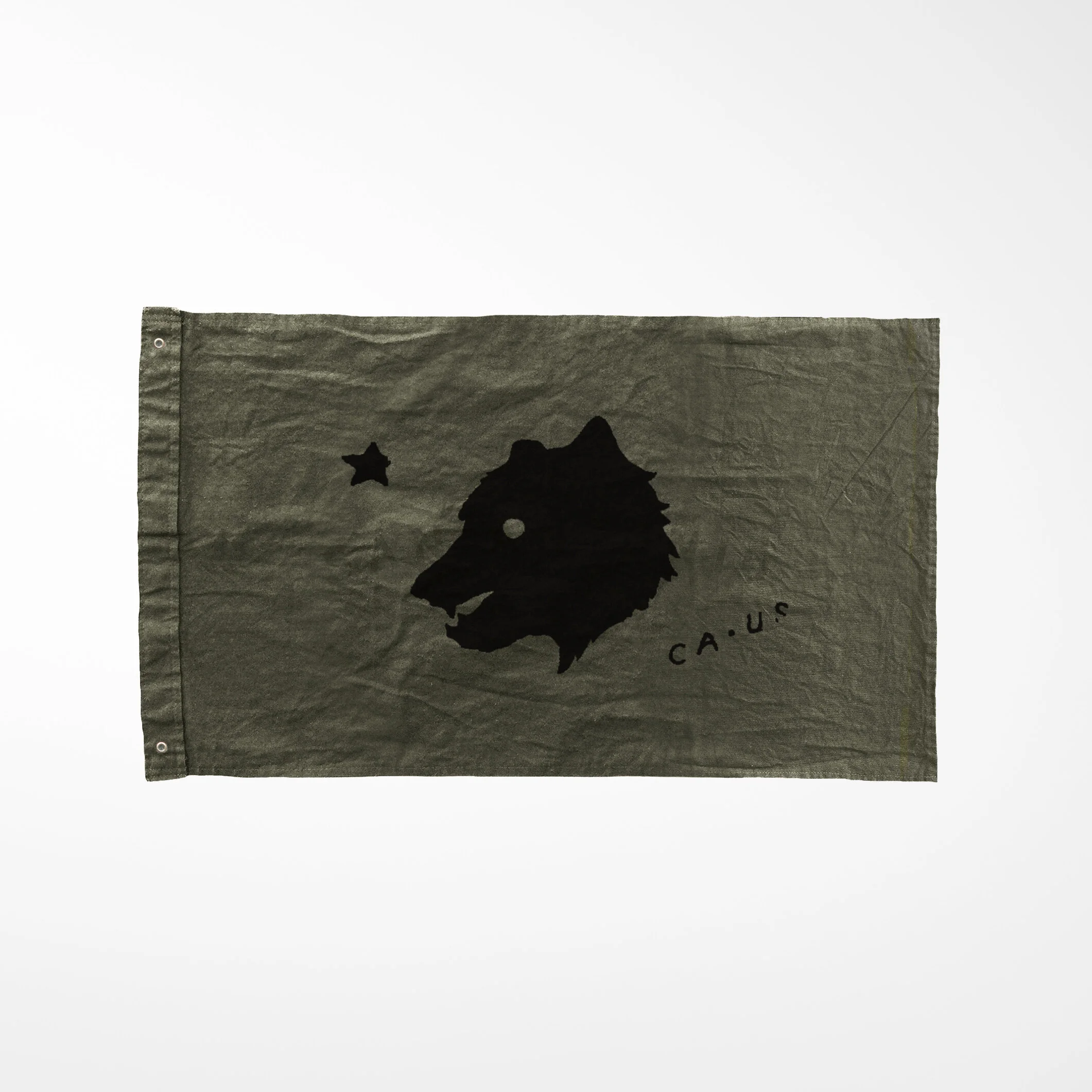 ws_ca bear_sqG.jpg