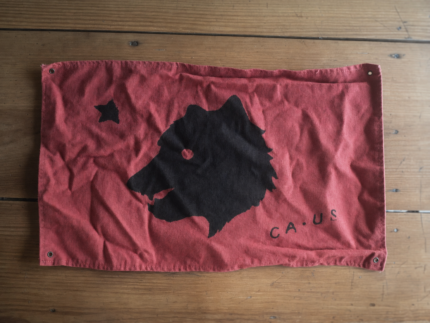 red ca bear.png