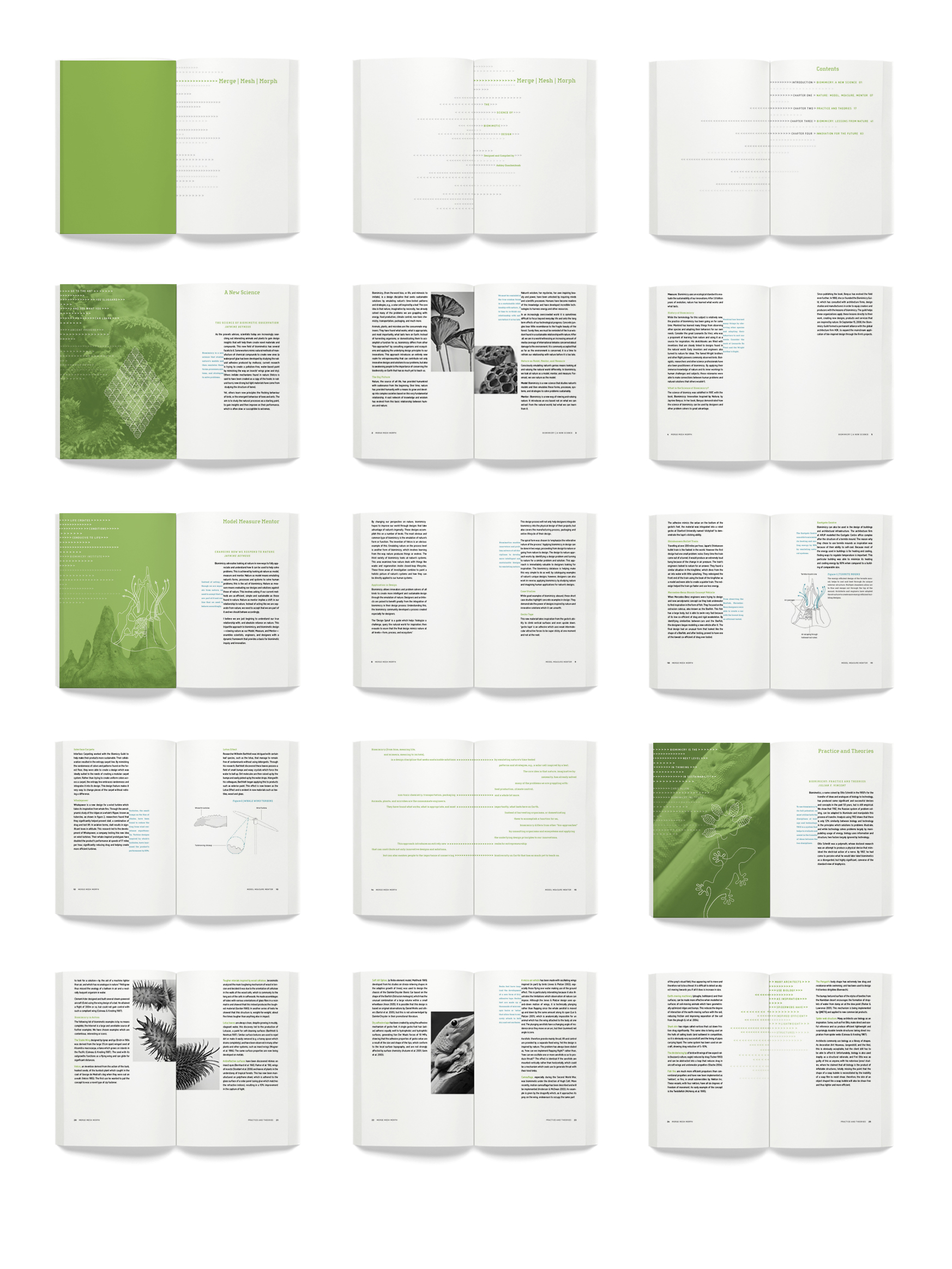 Biomim_book_insitu_pg.jpg