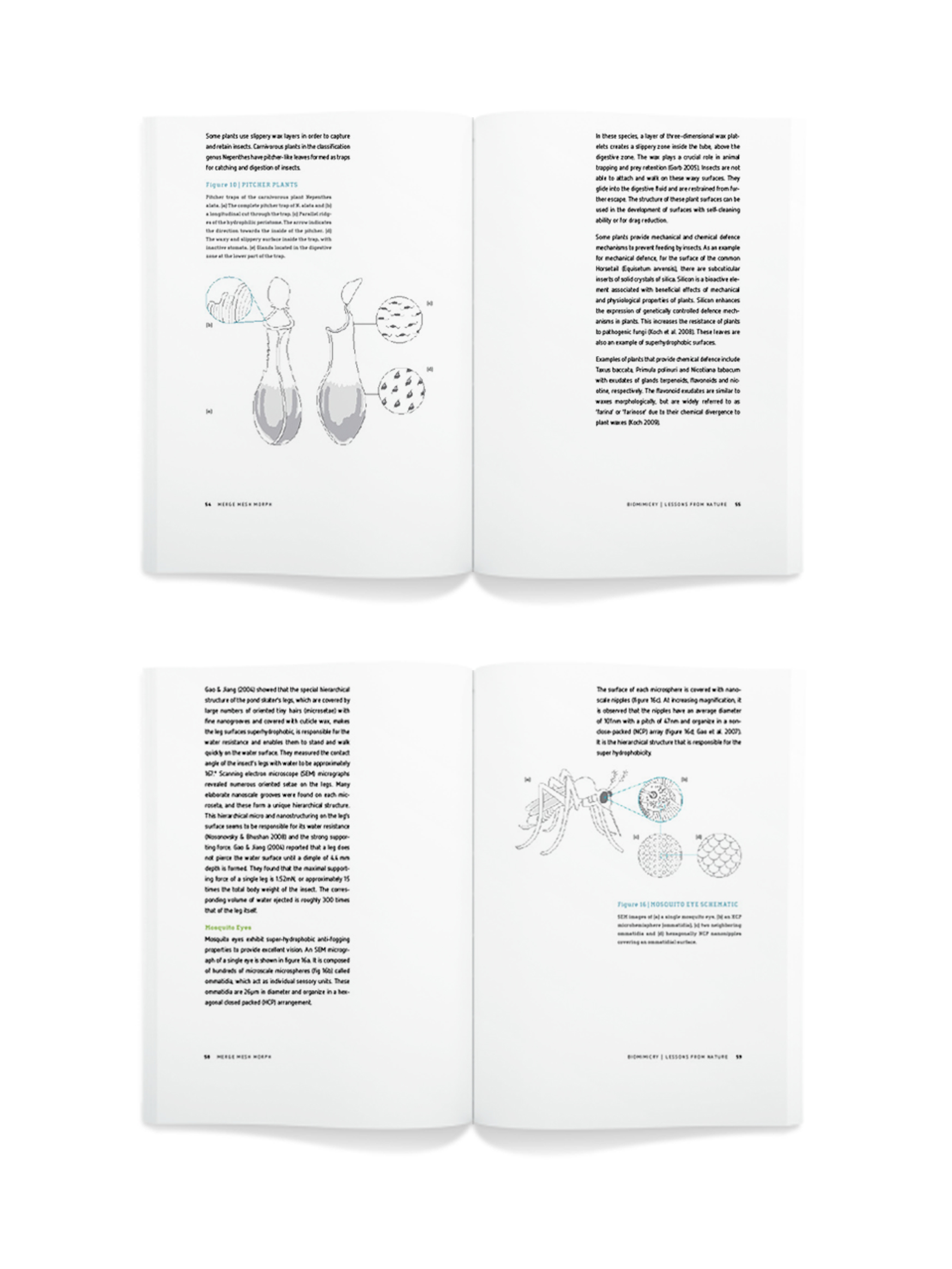 Biomim_book_insitu_pg5.jpg