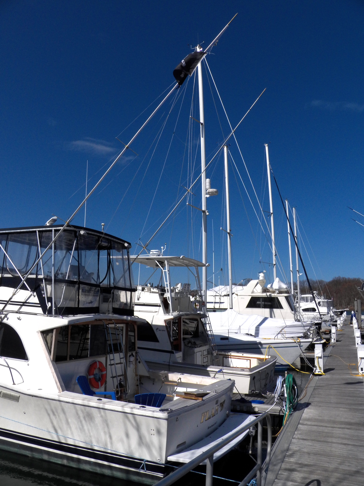 3 - All floating docks!