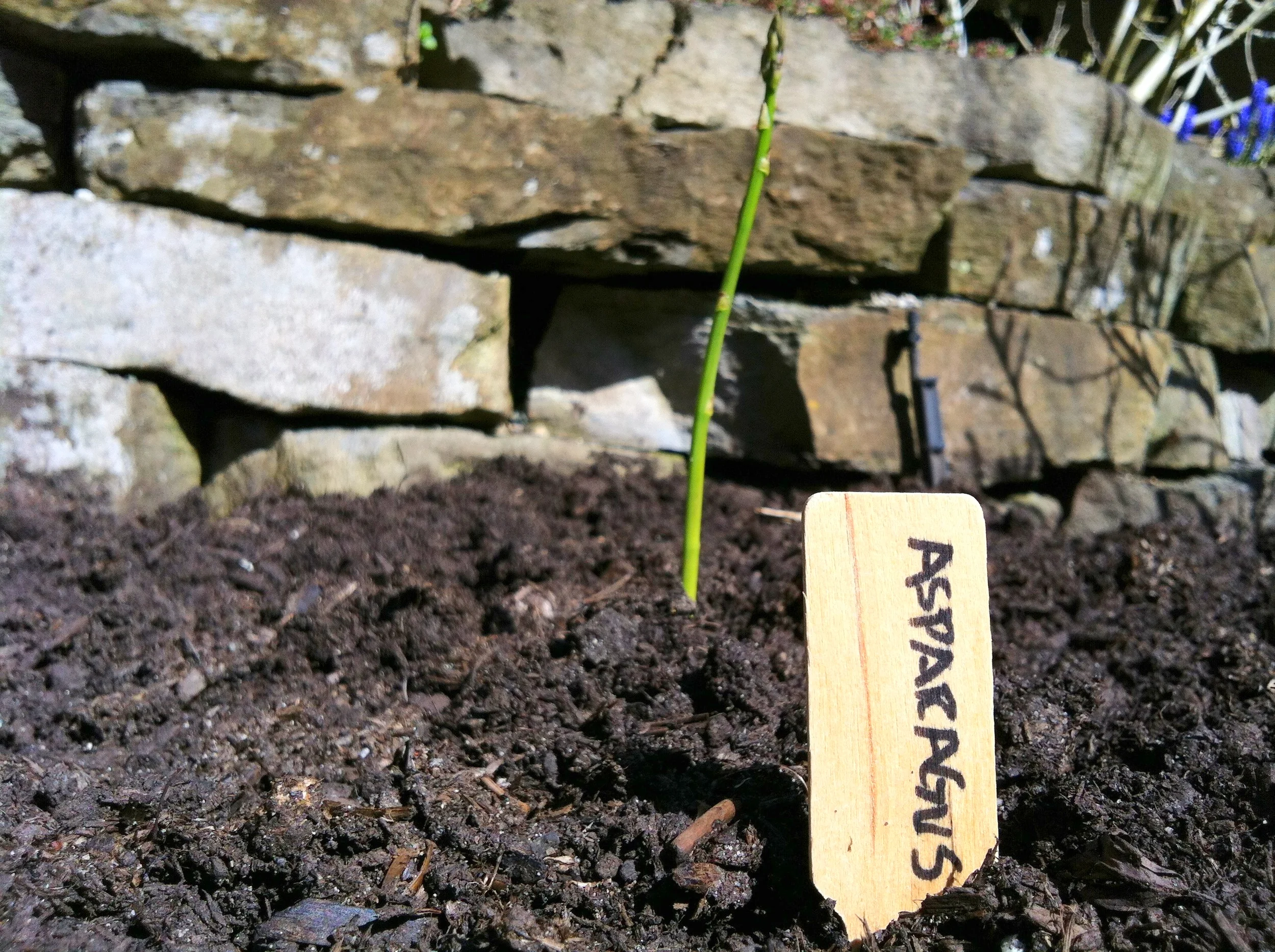 Start With Health & Transform Your Life