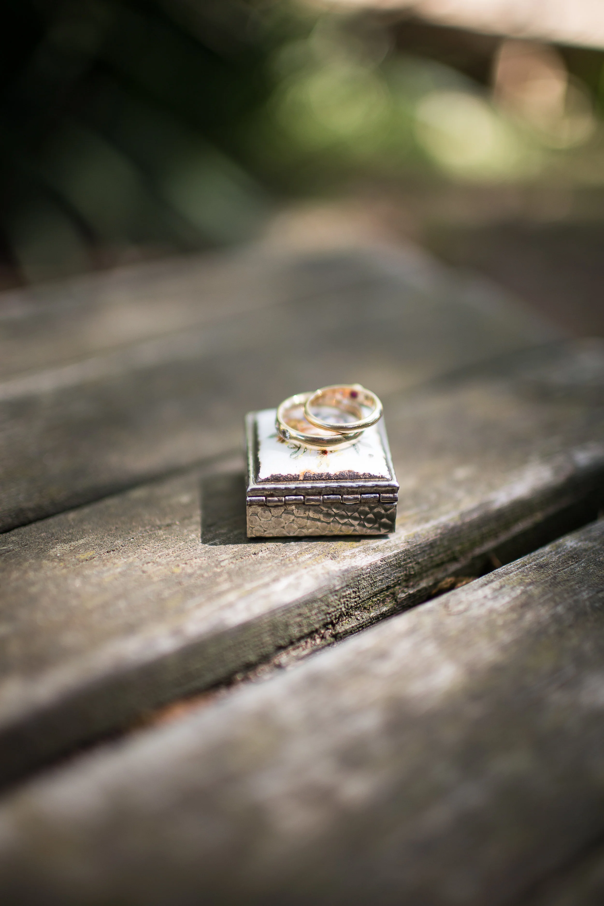 DGphotos-3.jpg