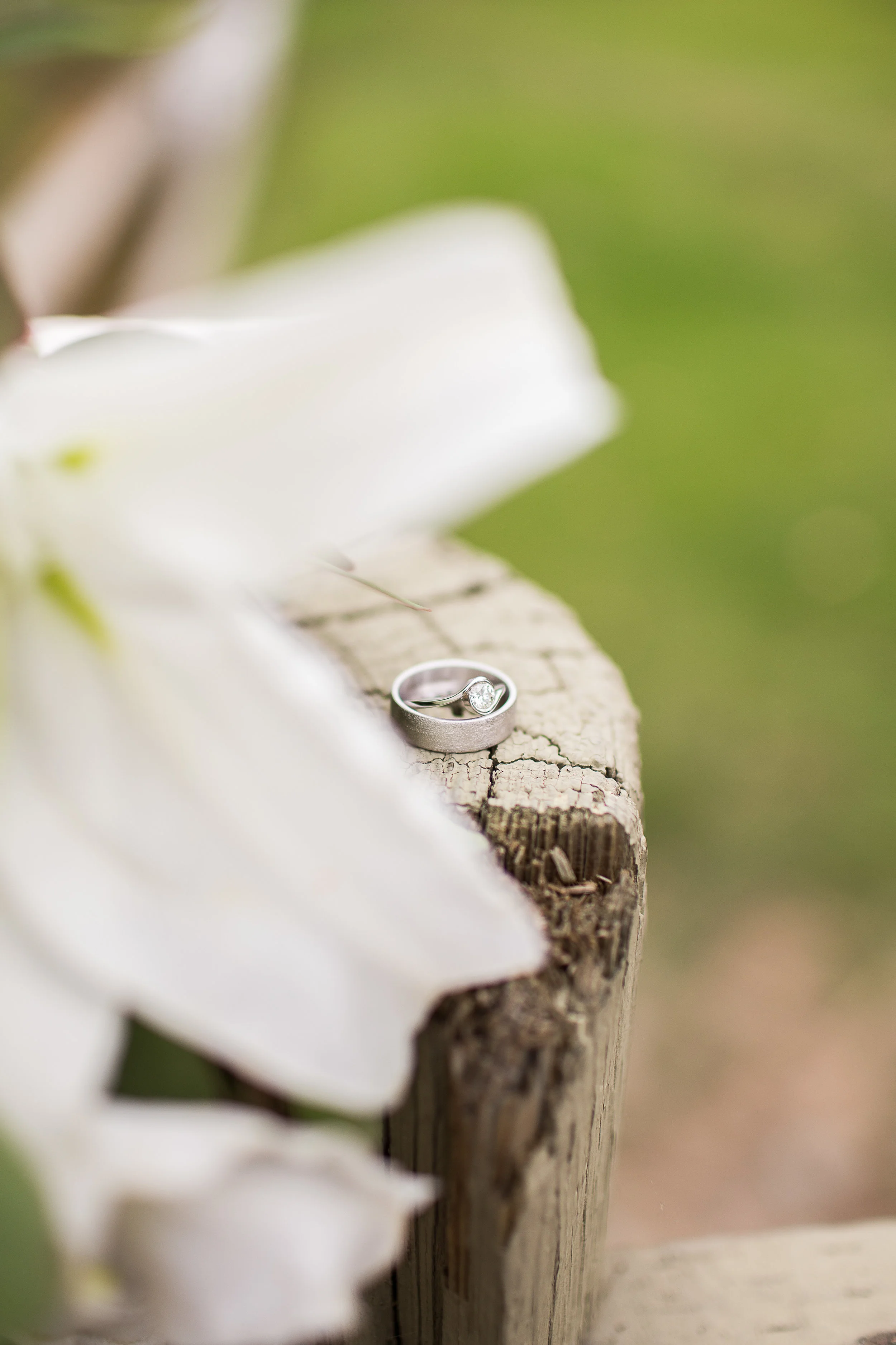 DGphotos-67.jpg