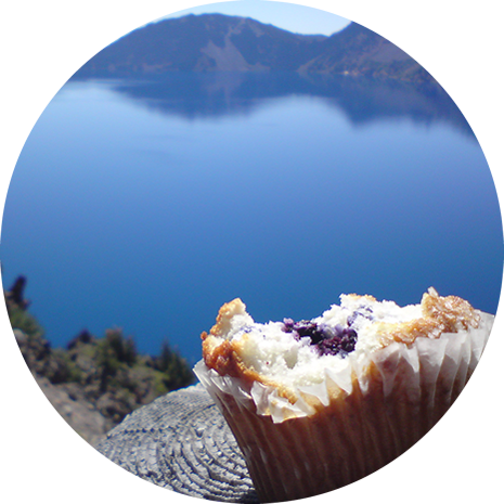 this muffin was delicious