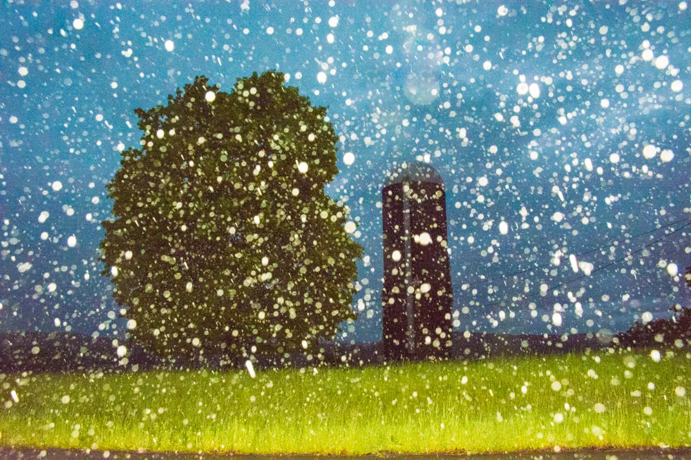 rain in summer