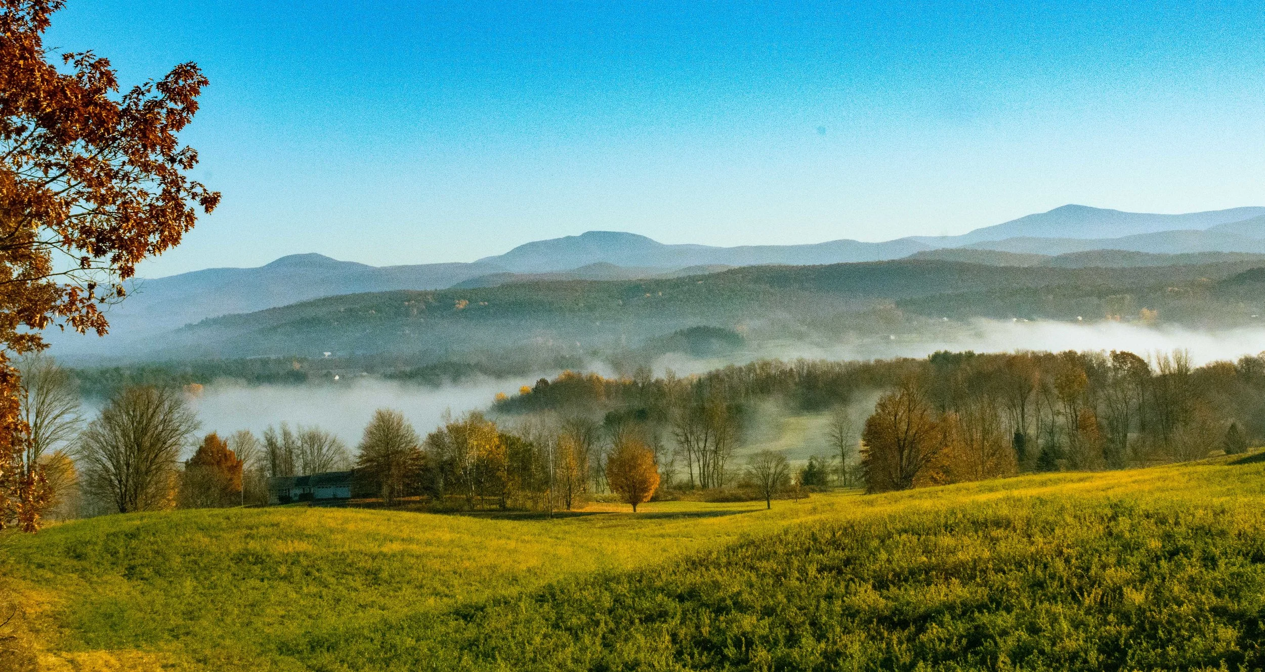 Field of Dreams | Juried, Southern Vermont Arts Center
