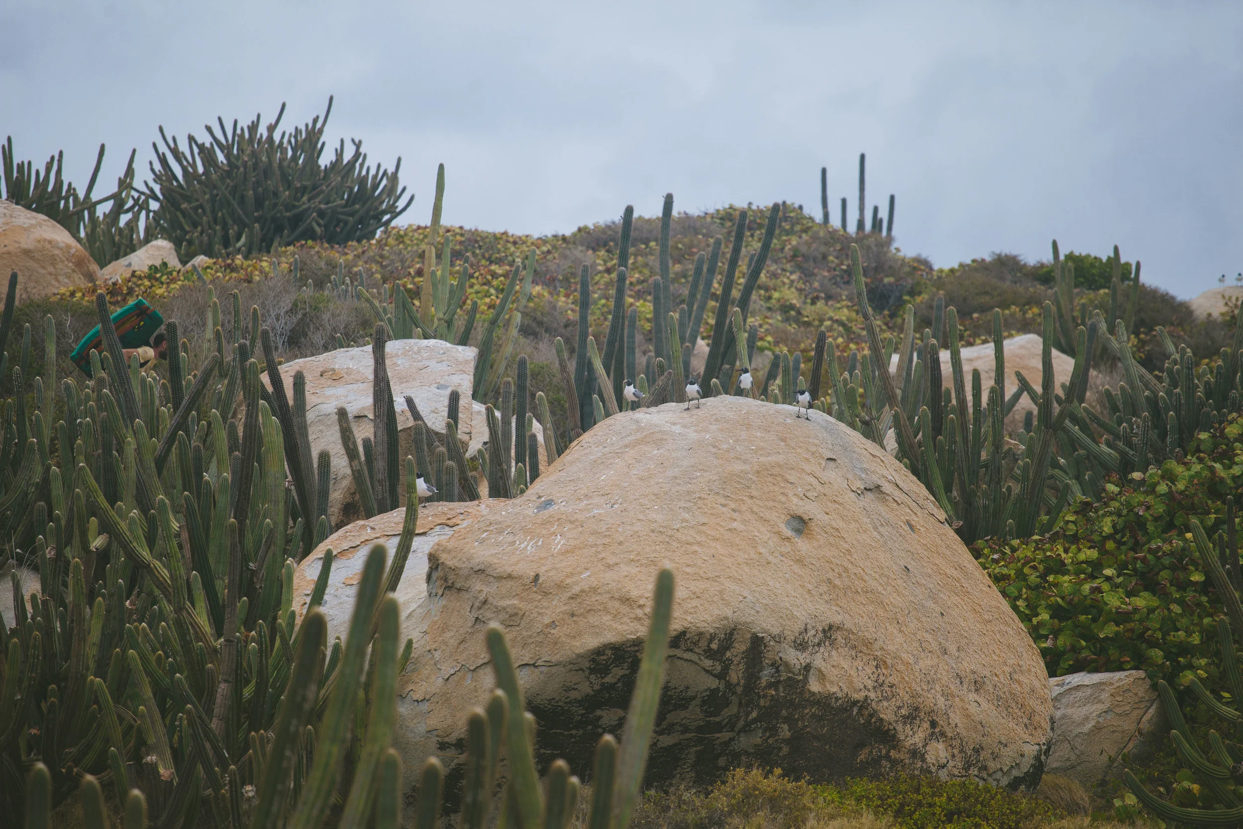 2015_AGR_VirginGorda_048.jpg