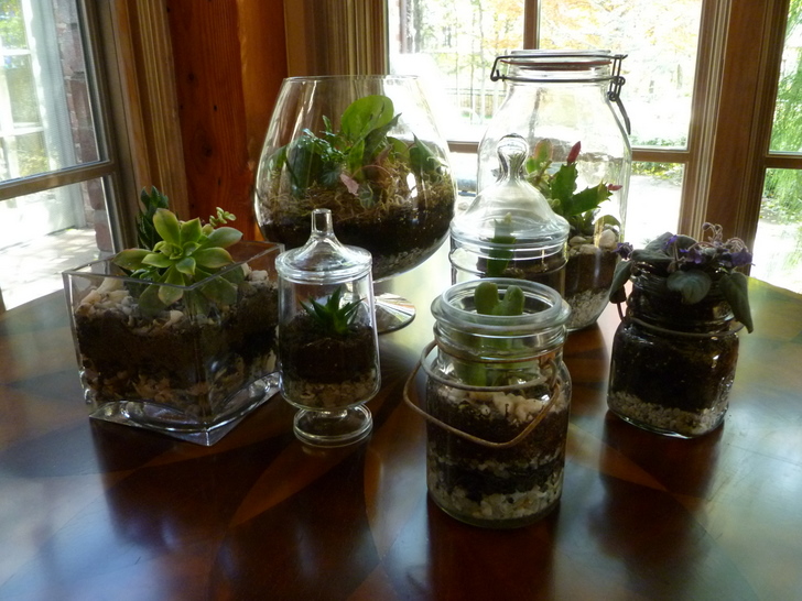 terrarium image from inhabitat.com