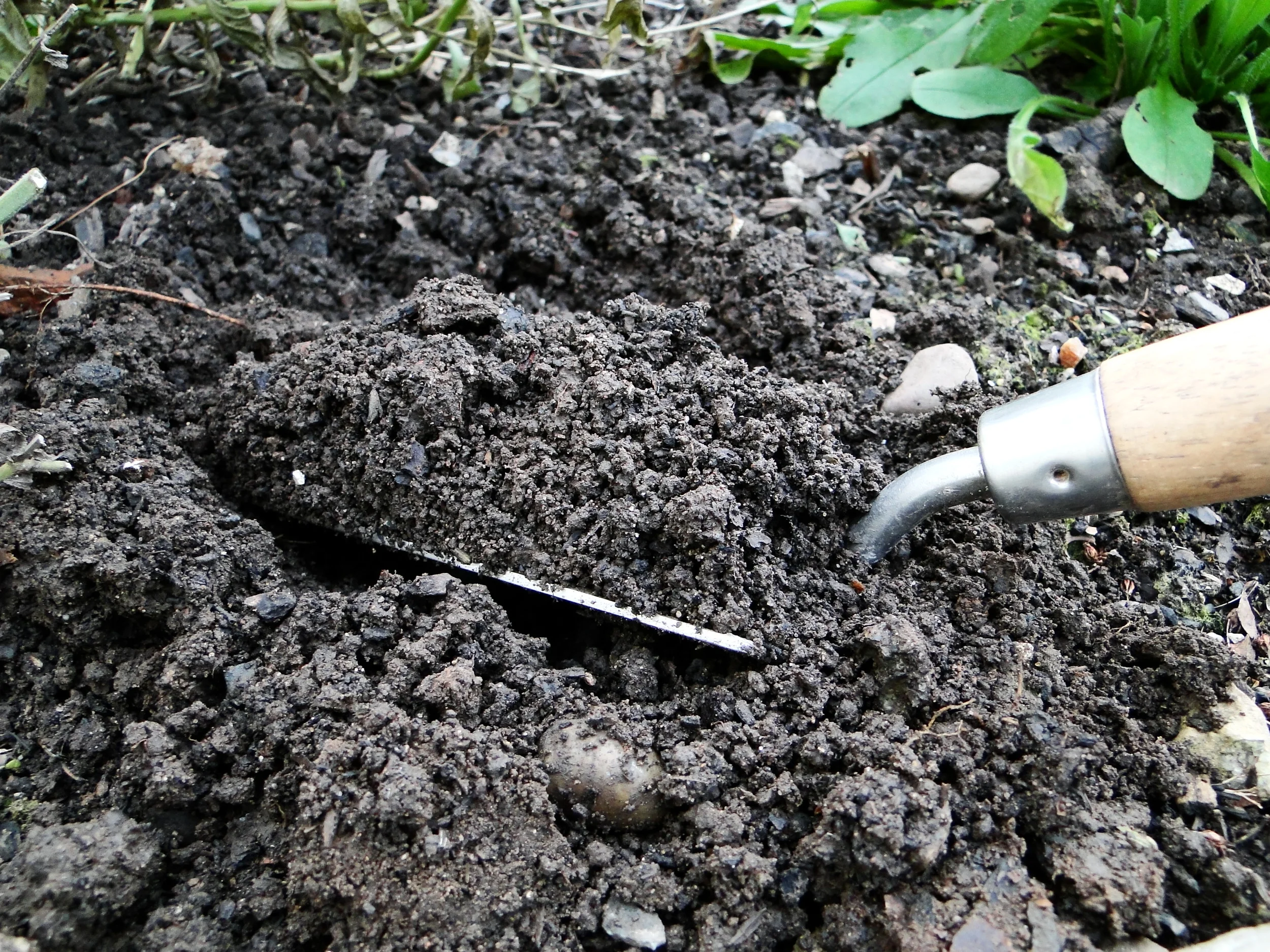 Soil Is The Answer - 6 Tips To Improve Your Garden's Health