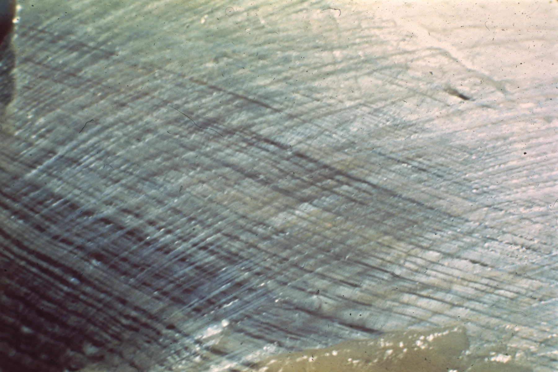 fascia.6B.jpg