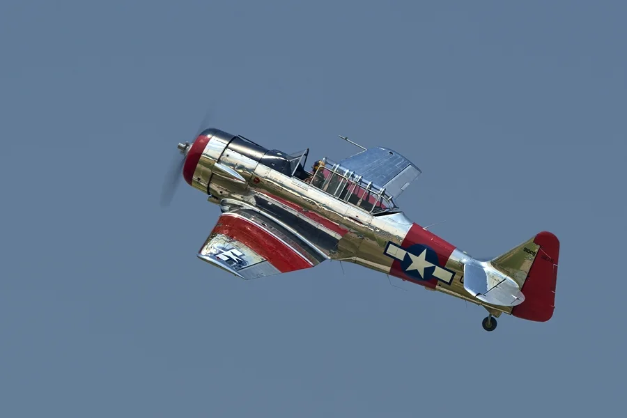 _REA7180.jpg