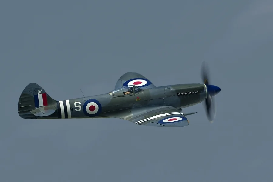 _REA8574.jpg