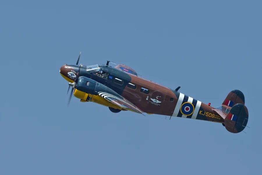 _REA8707.jpg
