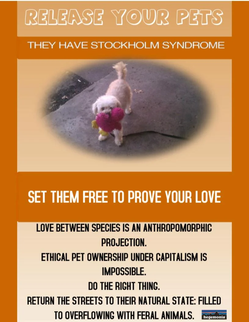 Release your pets.jpg