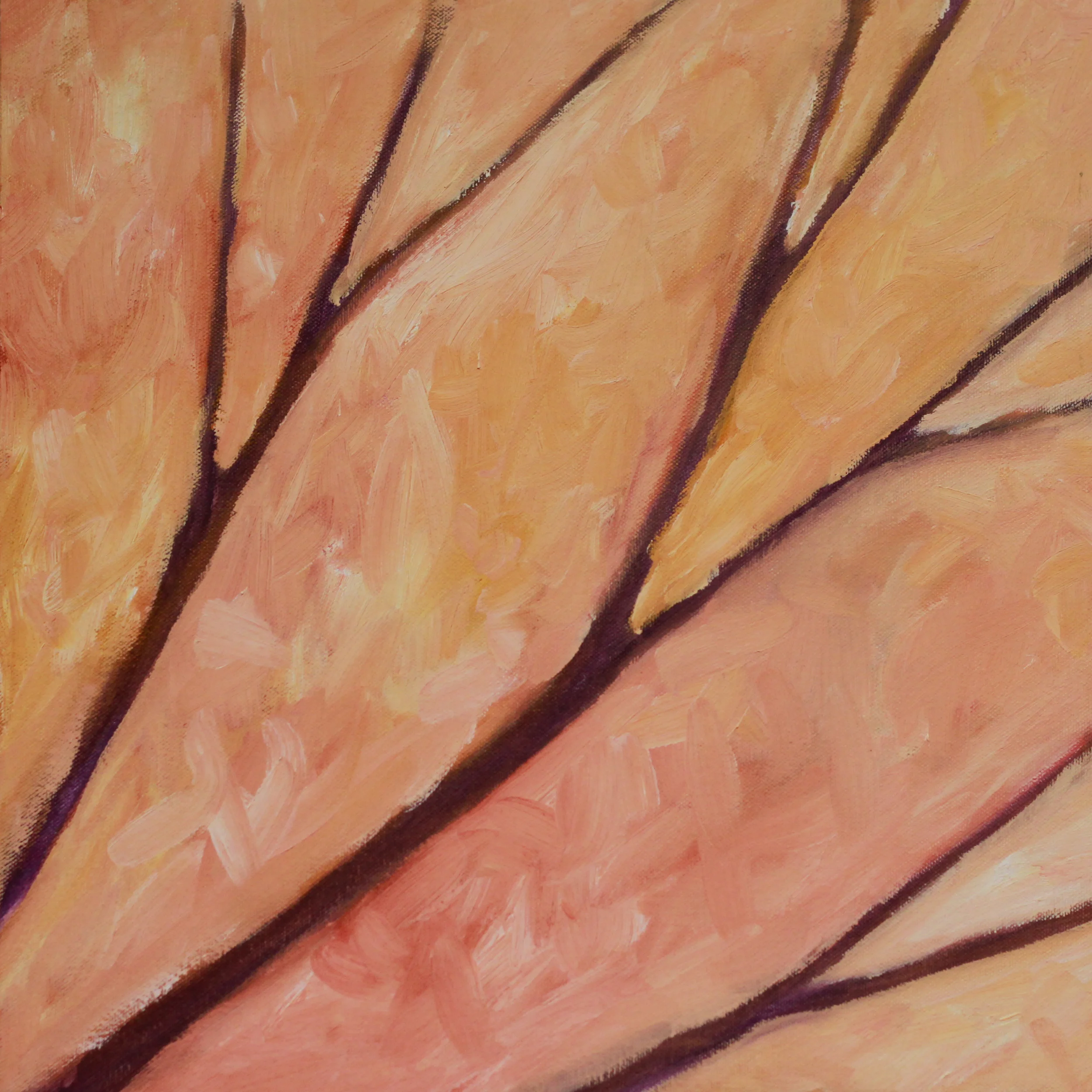 autumn-warmth-15x15.jpg