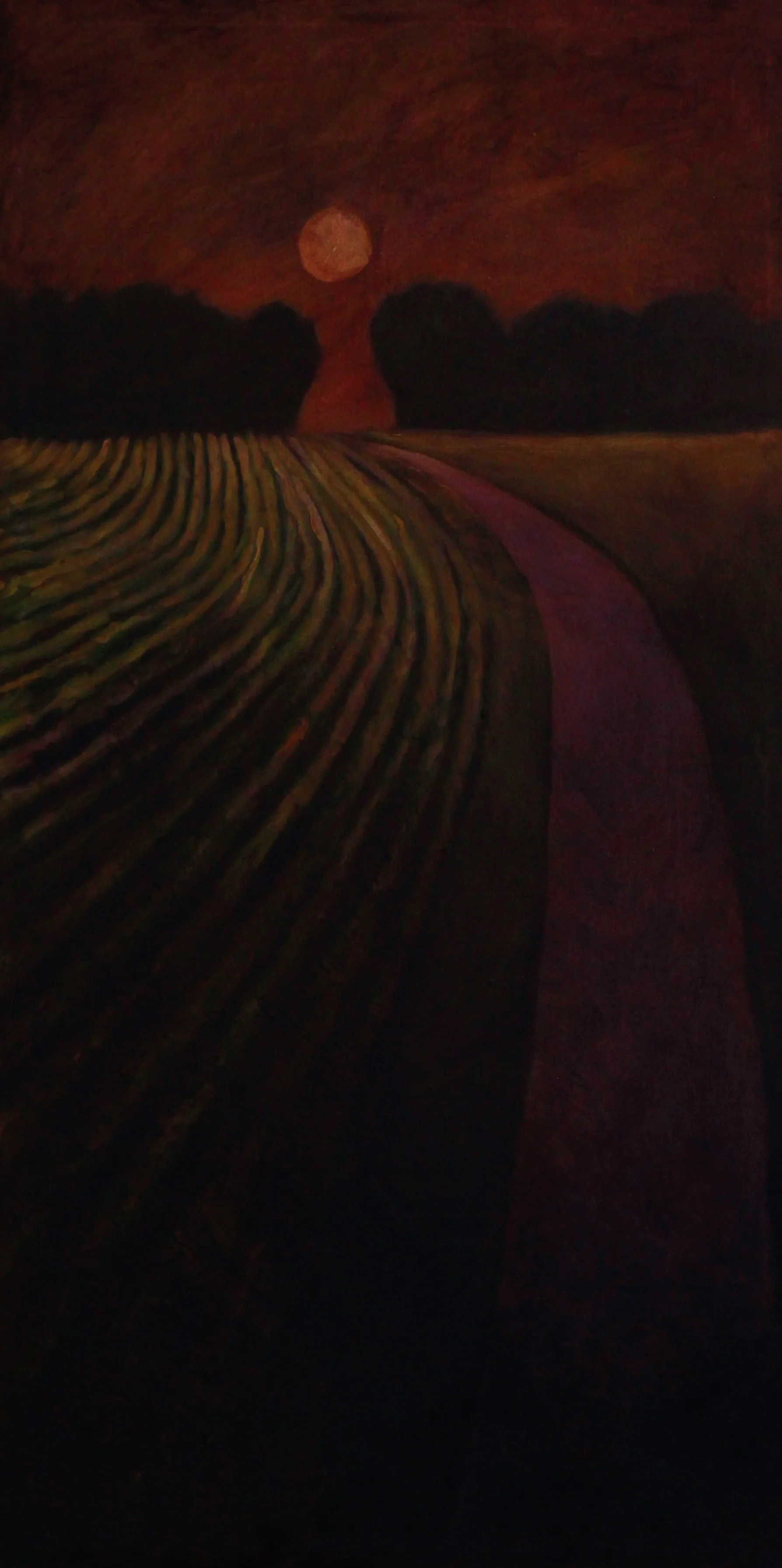 down-the-rows-20x40.jpg