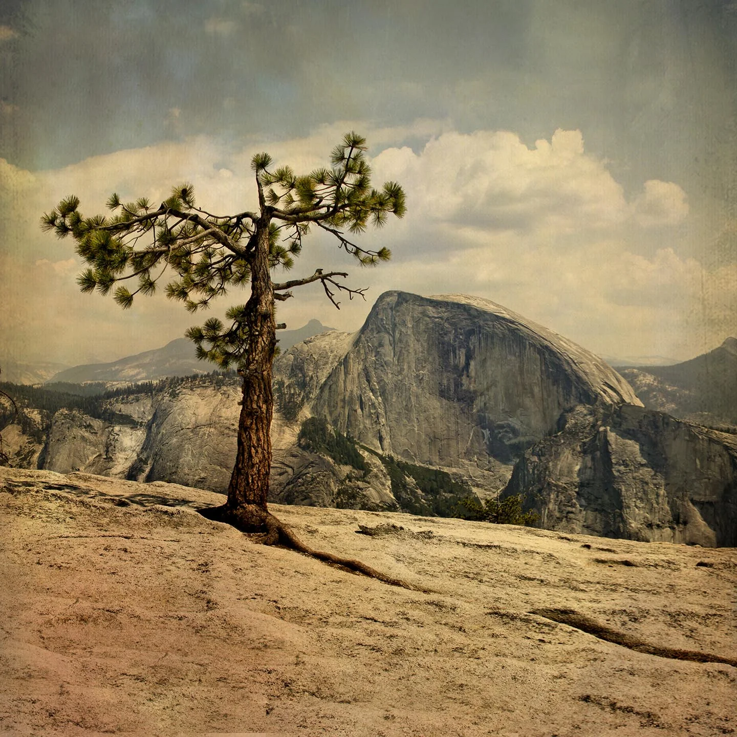 Half Dome from North Dome
