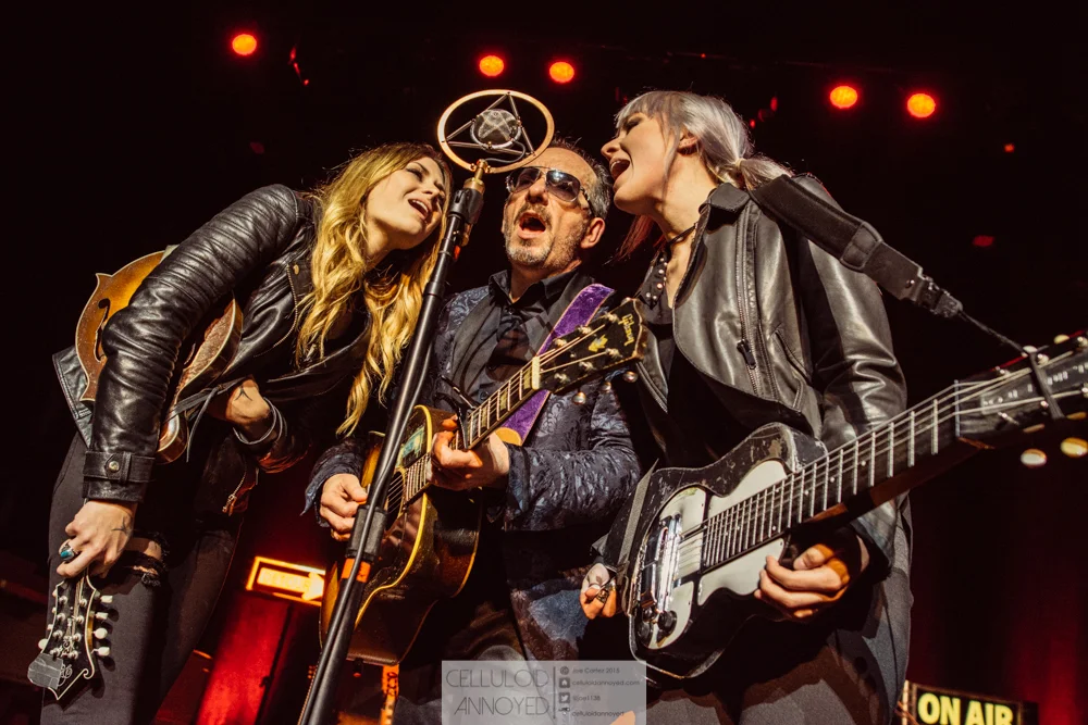 elvis+costello-21.jpg