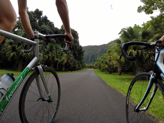 Rolling into Ho`omaluhia Botanical Garden