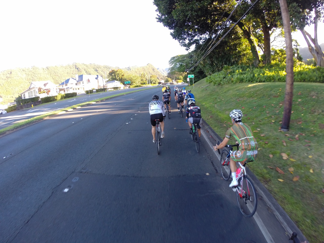 Ascending Pali Hwy