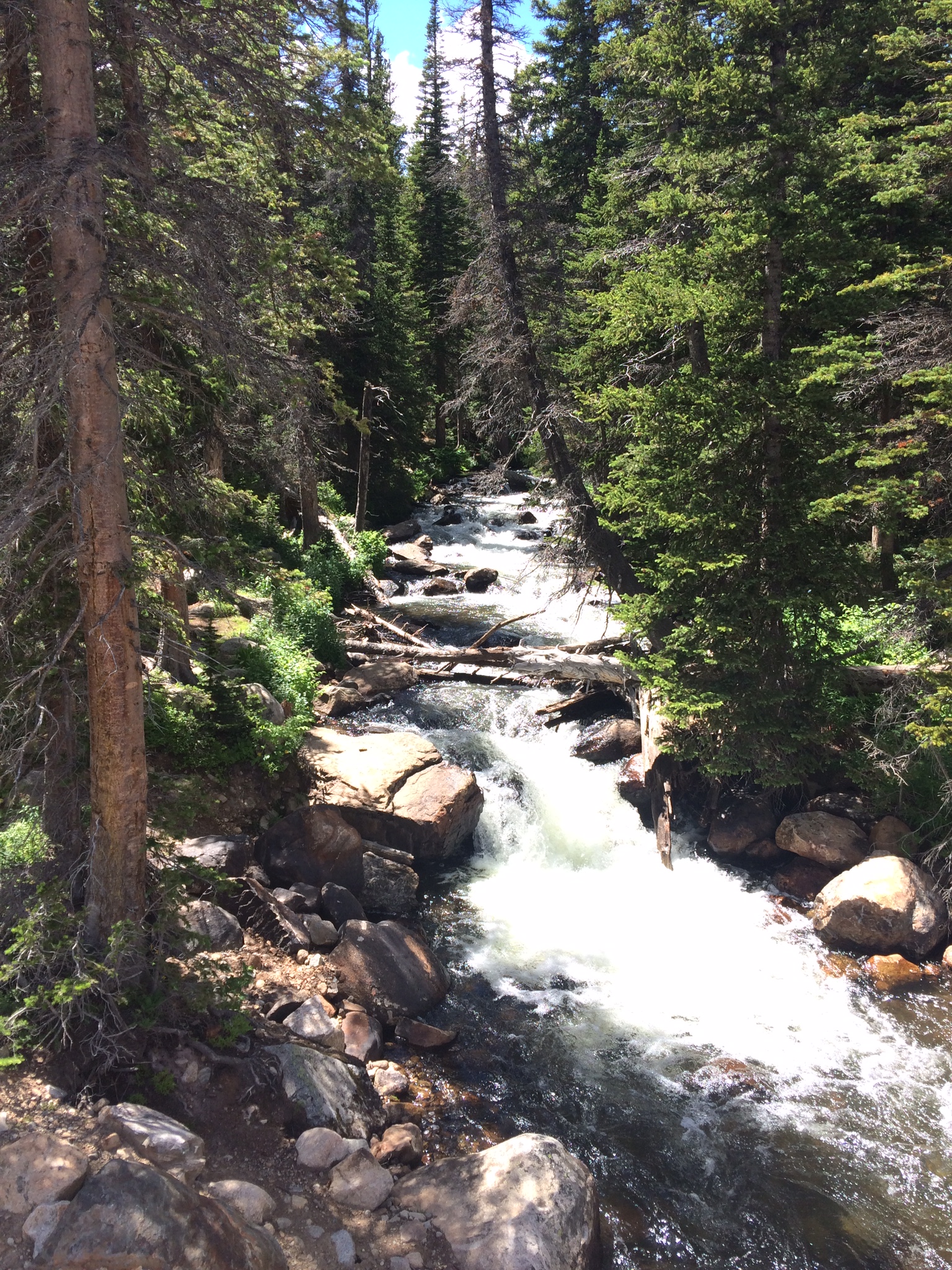  The soothing sounds of cold mountain streams. 