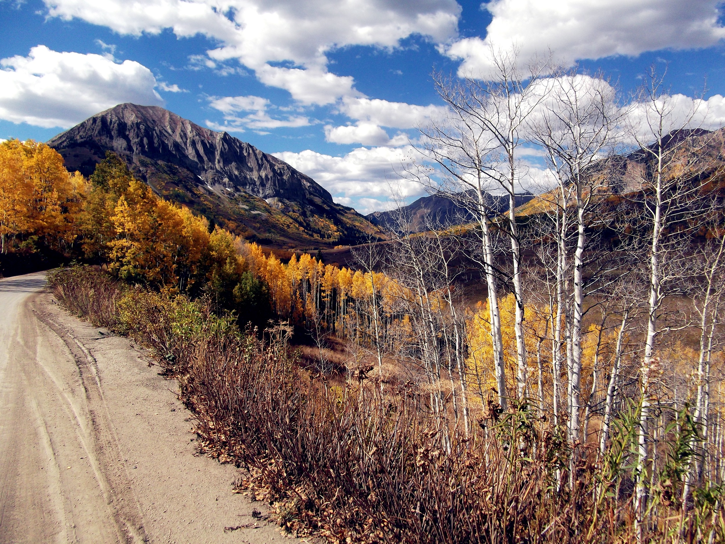 A little slice of beauty en route to the 401 trail in Crested Butte, CO