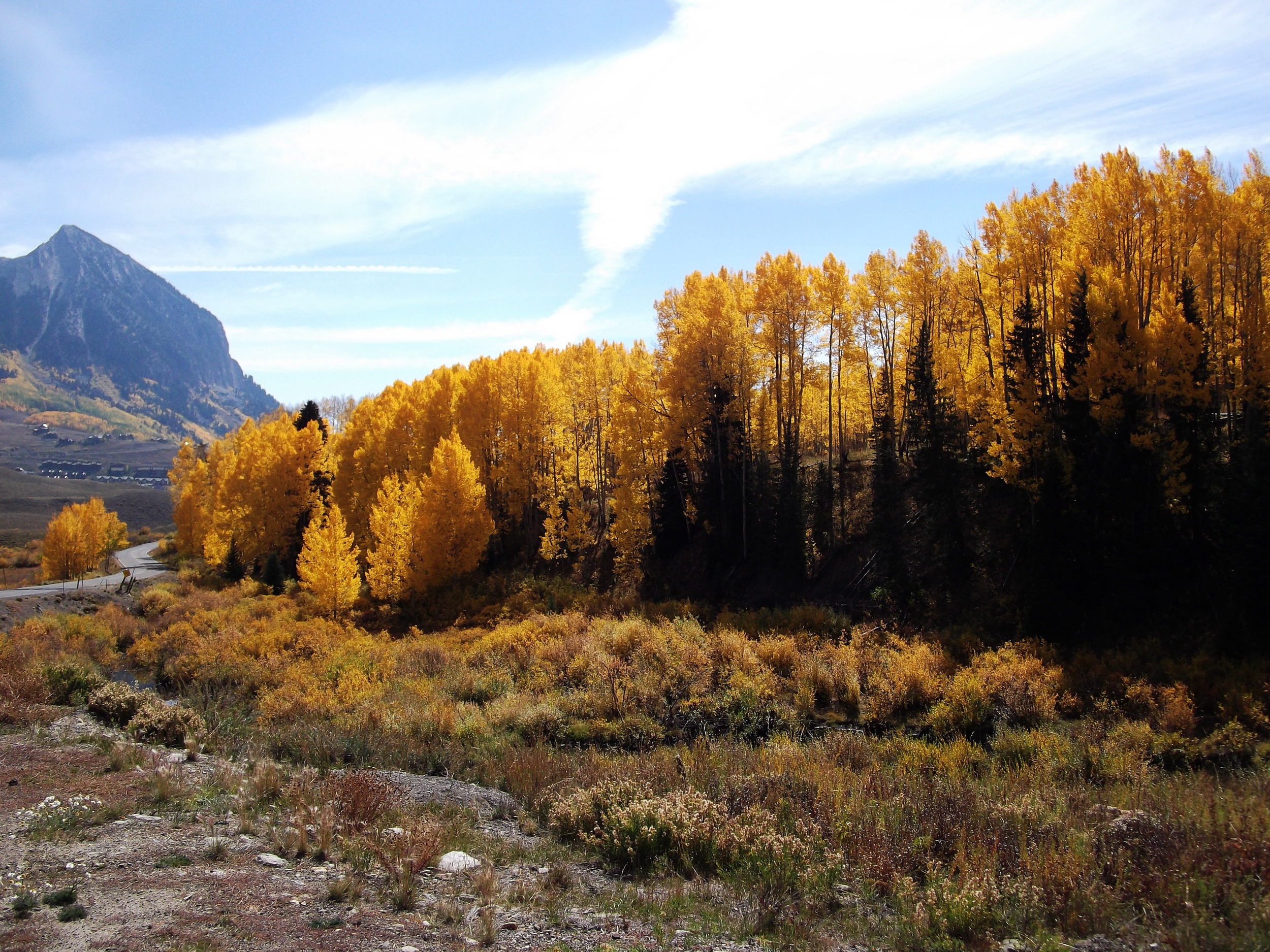 DSCF0690.jpg