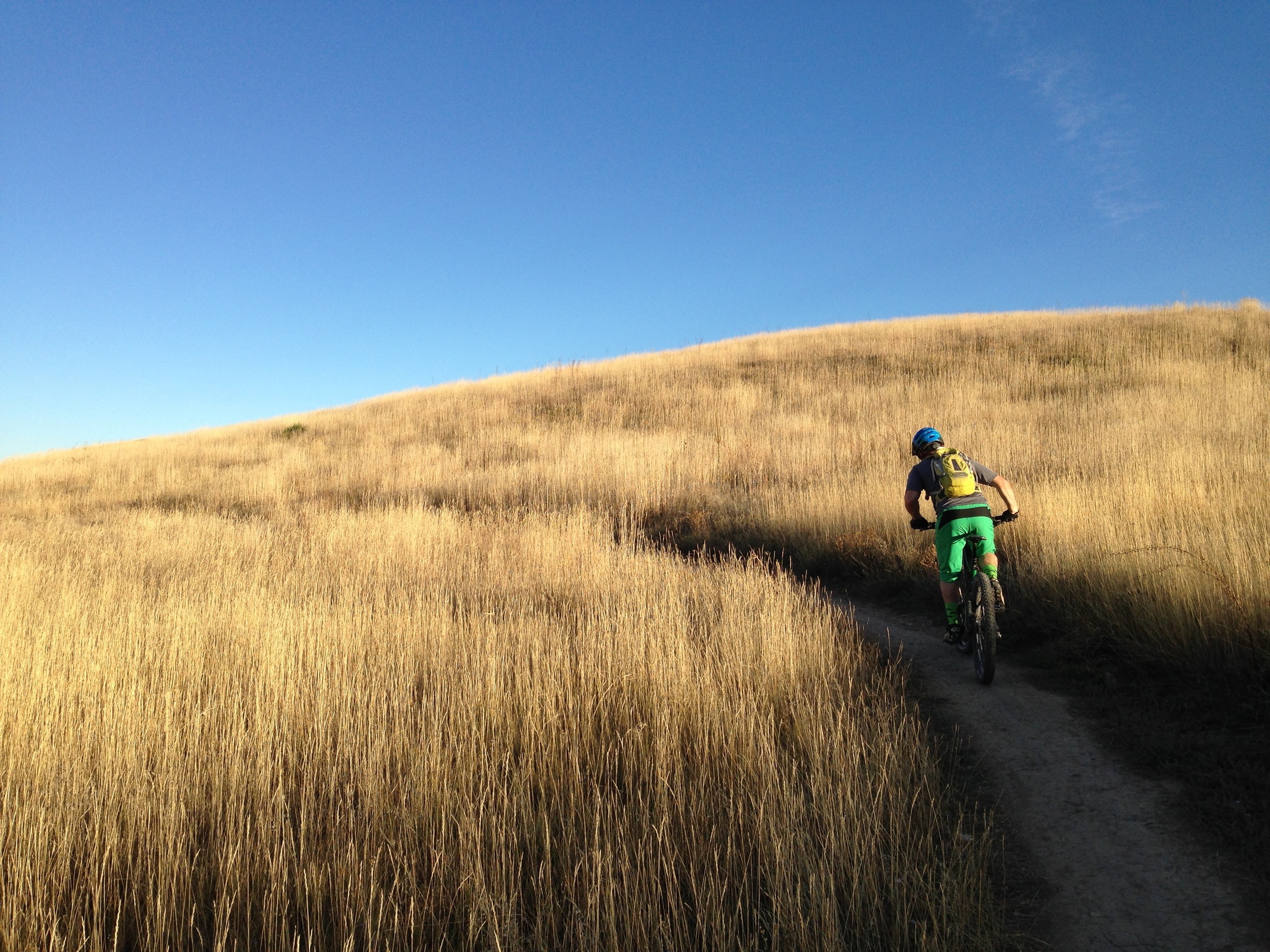 Jesse H cruising through golden fields in Marshall Mesa, Boulder. 