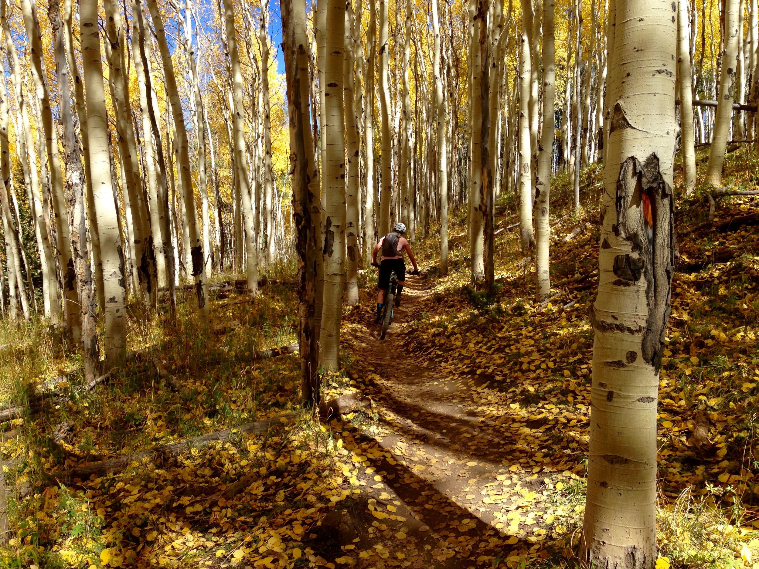  Marlijne C gliding through the Aspens,&nbsp;Vail, CO 