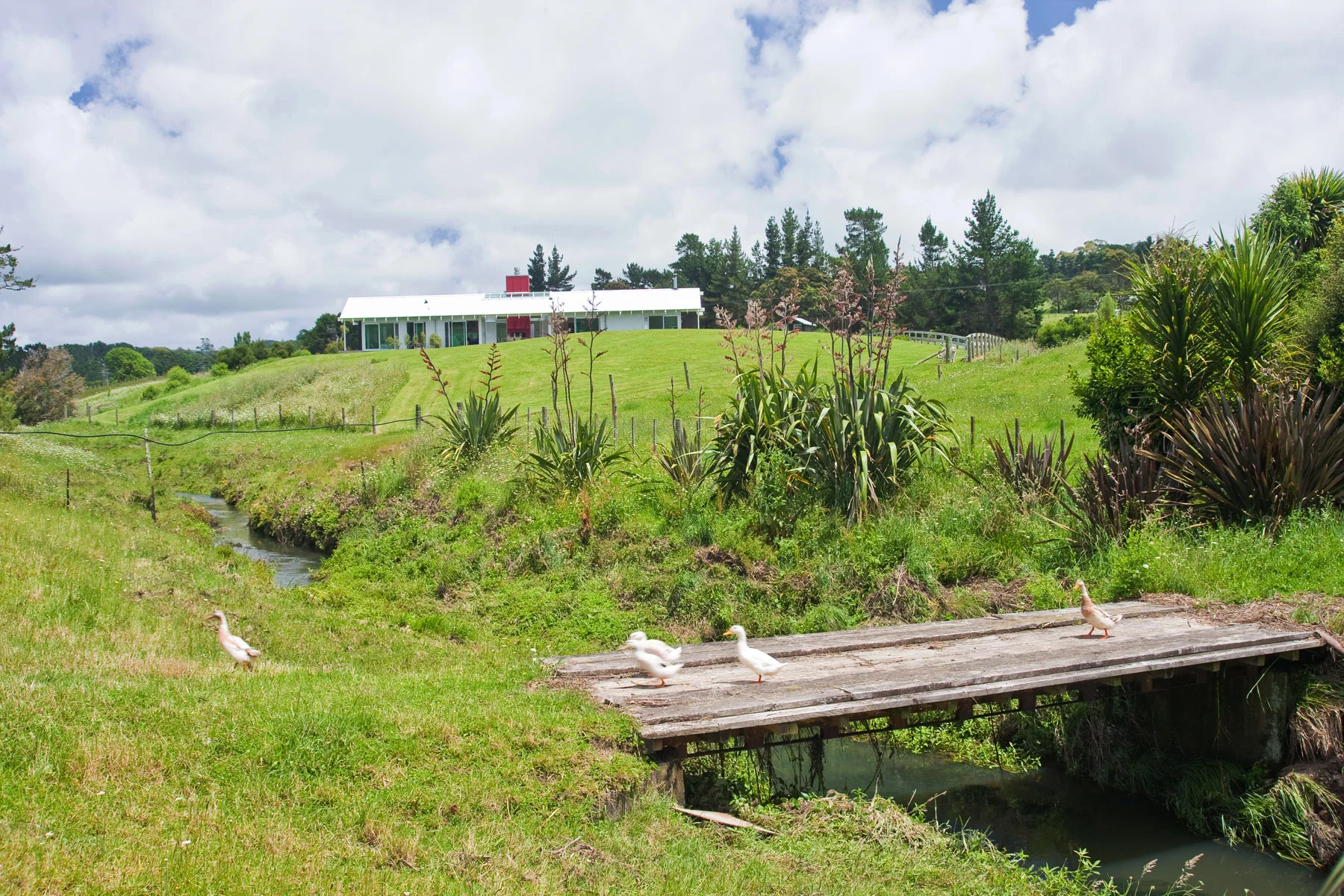 K  Leuschke Kahn Architects_Kumeu house, LKA__CM17547.jpg