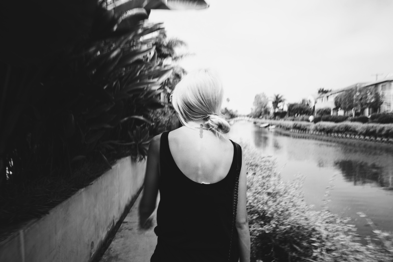 venice canals, venice beach