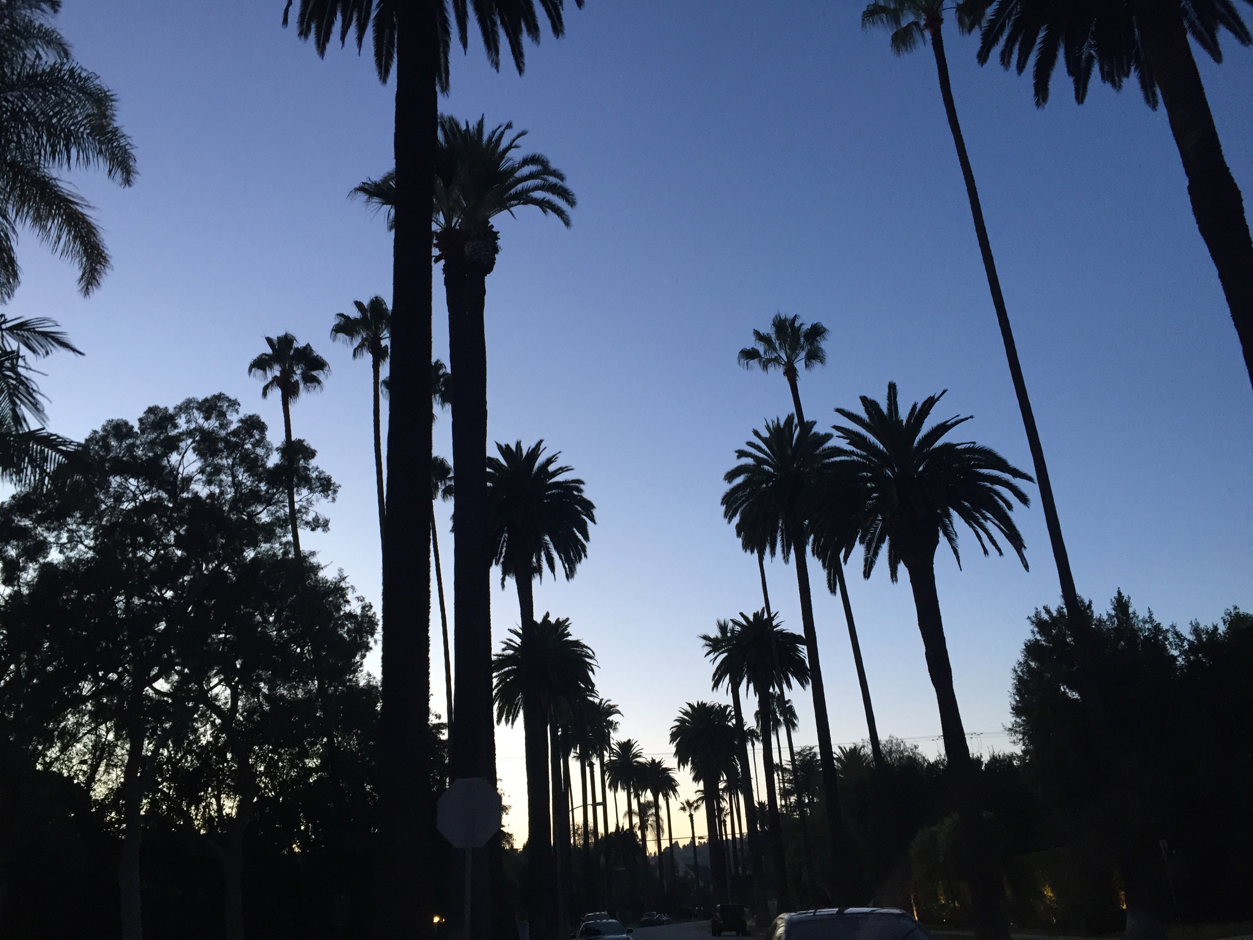 sunset.