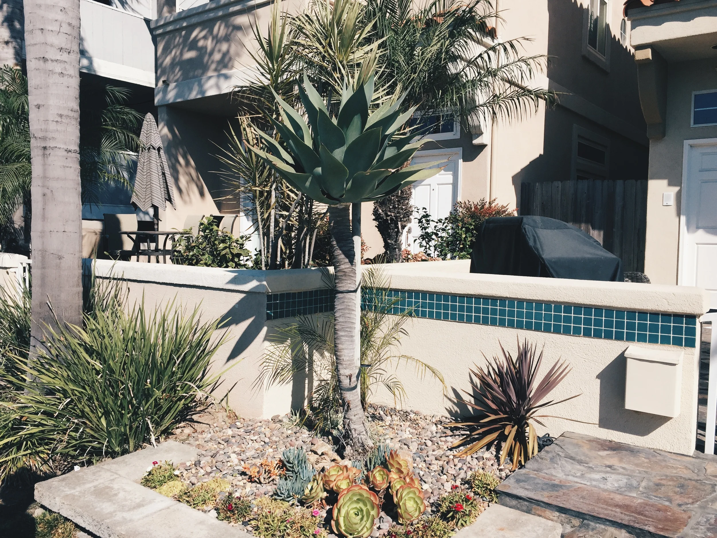pretty garden - huntington beach, CA