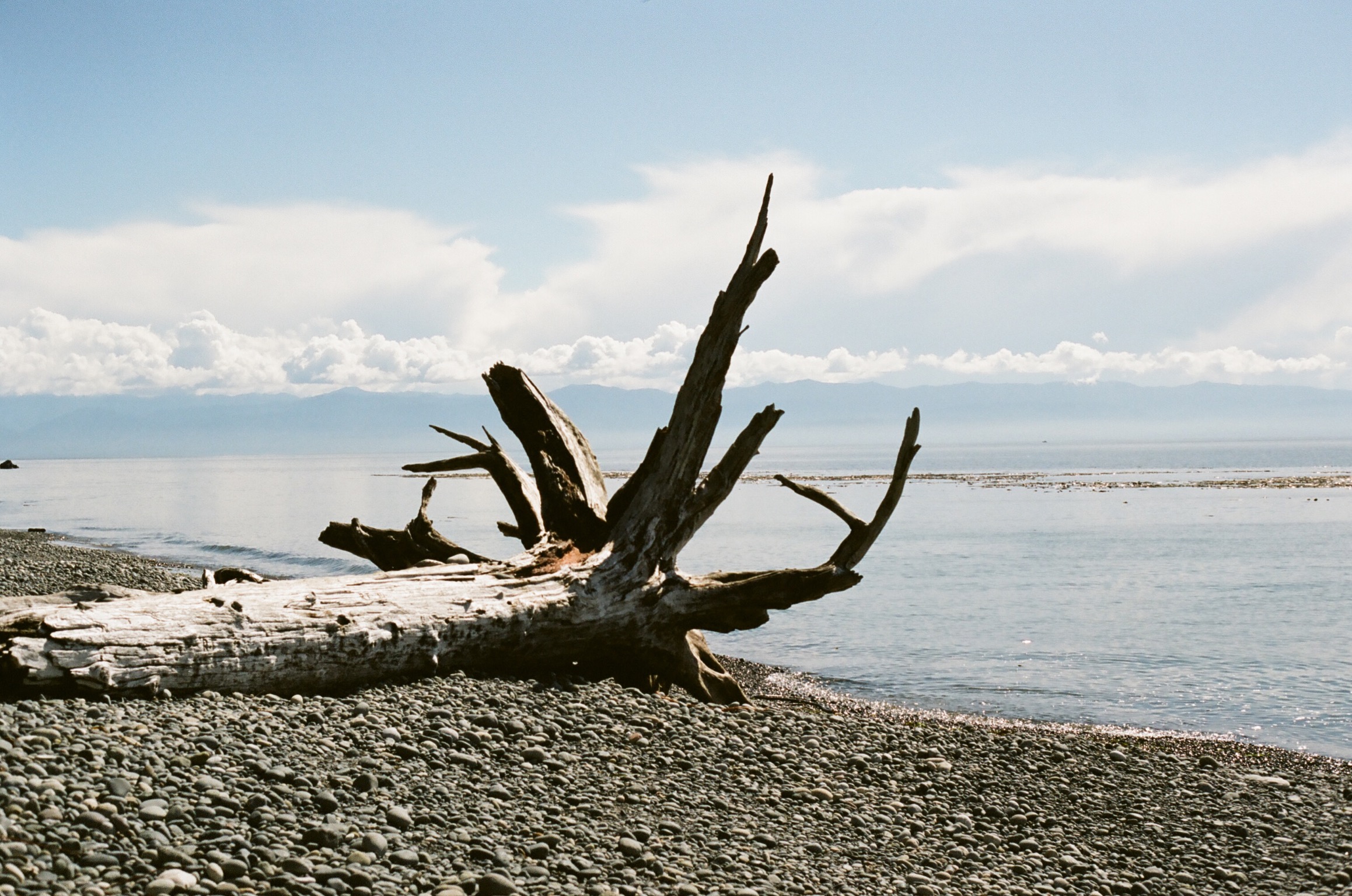 french beach, victoria BC