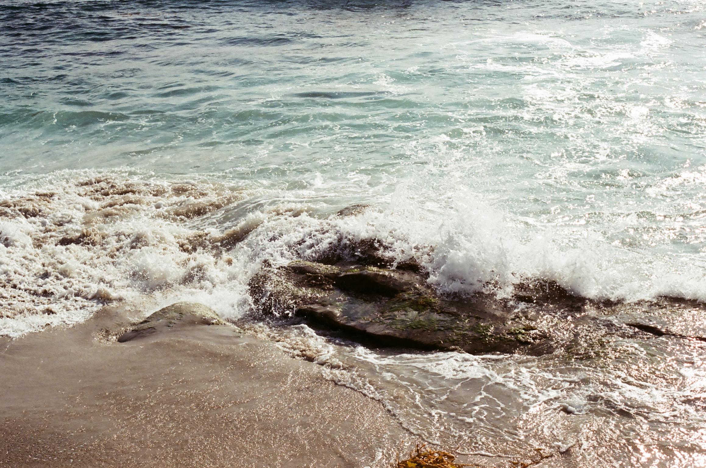 Windansea Beach, La Jolla CA