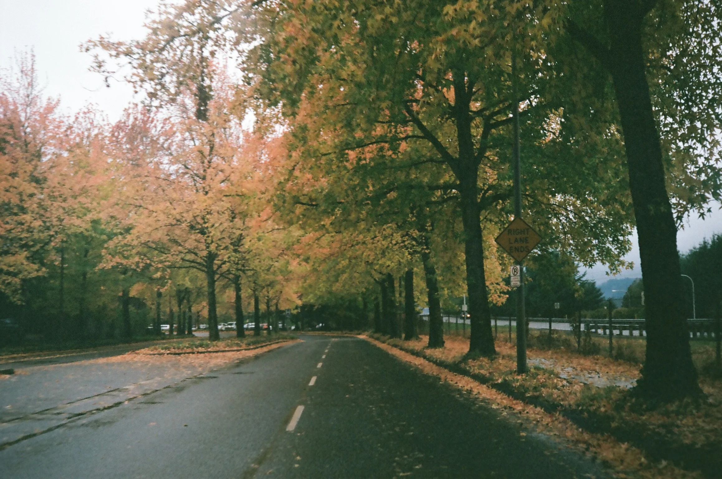 Portland streets