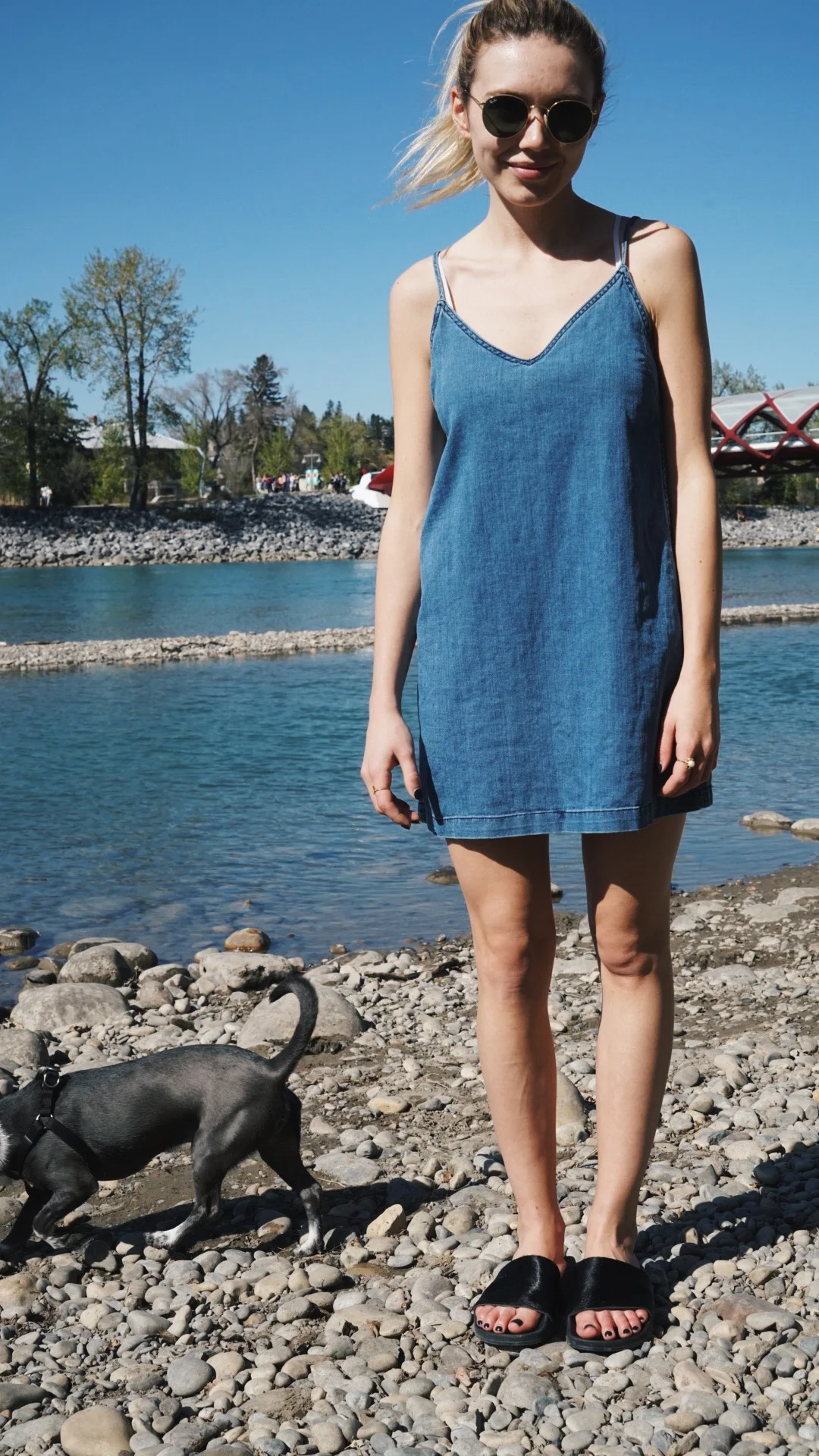 wilfred free denim dress